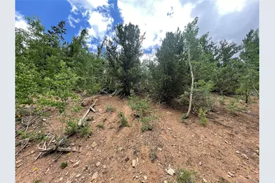 847 County Road 787, Alma, CO 80420 - Photo 19