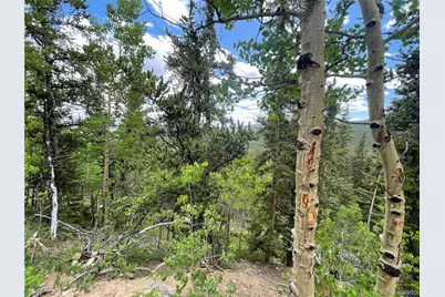 847 County Road 787, Alma, CO 80420 - Photo 3