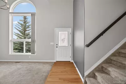 531 Saber Creek Drive, Monument, CO 80132 - Photo 3