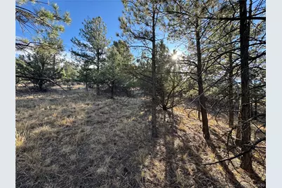 Lot 35 Stephens Drive, Westcliffe, CO 81252 - Photo 7