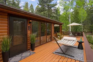 302 Miners Way, Bailey, CO 80421 - Photo 5