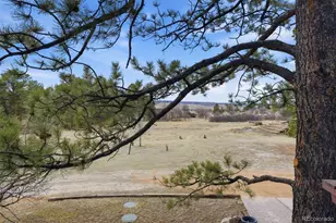 7755 E Park Dr, Franktown, CO 80116 - Photo 11