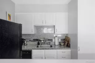 1050 N Corona Street, Denver, CO 80218 - Photo 5