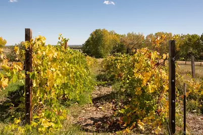 5952 Oxford Road, Niwot, CO 80503 - Photo 27