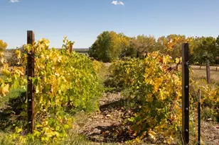 5952 Oxford Rd, Niwot, CO 80503 - Photo 27