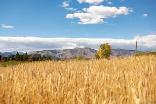 5952 Oxford Rd, Niwot, CO 80503 - Photo 27