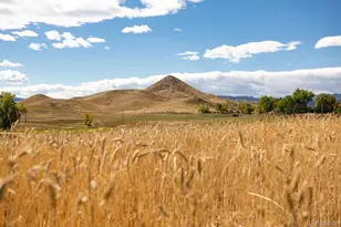 5952 Oxford Rd, Niwot, CO 80503 - Photo 29