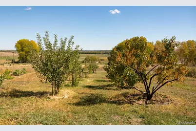 5952 Oxford Road, Niwot, CO 80503 - Photo 25