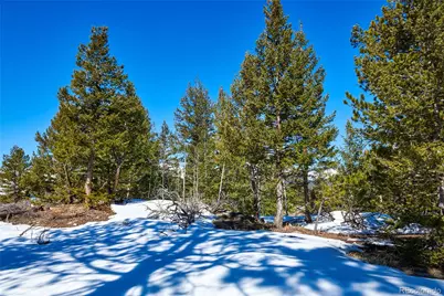 815 Cougar Run, Nederland, CO 80466 - Photo 9