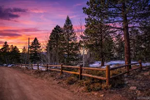 815 Cougar Run, Nederland, CO 80466 - Photo 1