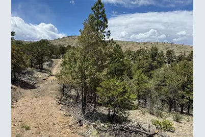 Tbd 33rd, Cotopaxi, CO 81223 - Photo 7
