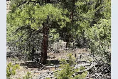 Tbd 33rd, Cotopaxi, CO 81223 - Photo 11