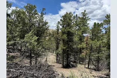 Tbd 33rd, Cotopaxi, CO 81223 - Photo 5