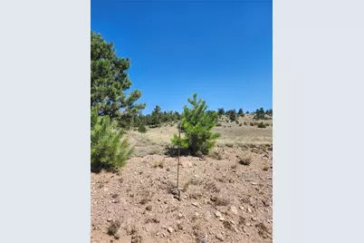 64 Bandana Road, Hartsel, CO 80449 - Photo 3