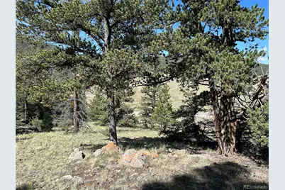 Hwy 285/24, Buena Vista, CO 81211 - Photo 25