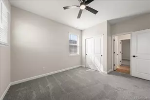 1335 Alyssa Dr, Timnath, CO 80547 - Photo 29