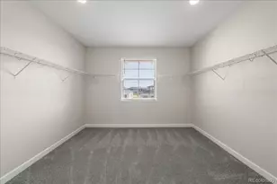 1335 Alyssa Dr, Timnath, CO 80547 - Photo 23