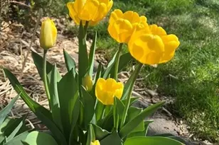 5458 S Knox Ct, Littleton, CO 80123 - Photo 47