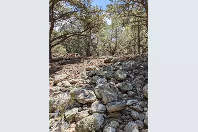 3729 Enchanted Way, Crestone, CO 81131 - Photo 9