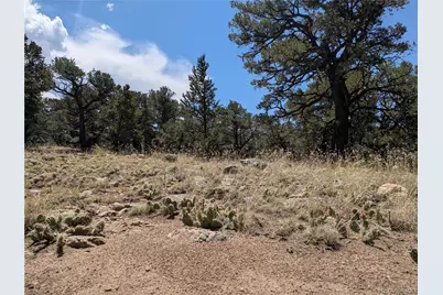 3729 Enchanted Way, Crestone, CO 81131 - Photo 11