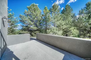 14701 Co Rd 261C, Nathrop, CO 81236 - Photo 43