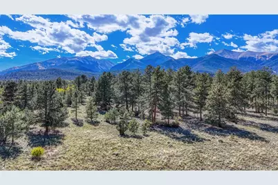 14701 County Road 261C, Nathrop, CO 81236 - Photo 47