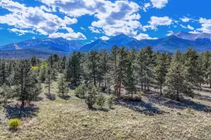 14701 Co Rd 261C, Nathrop, CO 81236 - Photo 47