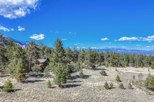 14701 Co Rd 261C, Nathrop, CO 81236 - Photo 49