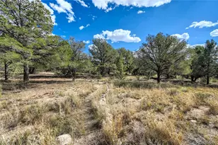 1366 Chaparral Way, Crestone, CO 81131 - Photo 23