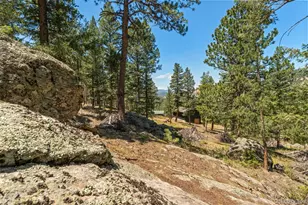 7390 Monica Ln, Evergreen, CO 80439 - Photo 41