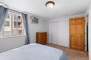 336 N Grant St, Denver, CO 80203 - Photo 19