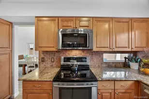 8764 Wildrose Ct, Highlands Ranch, CO 80126 - Photo 19