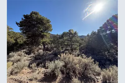 Lots 2045-2047 Pfotenhaur Road, Fort Garland, CO 81133 - Photo 13