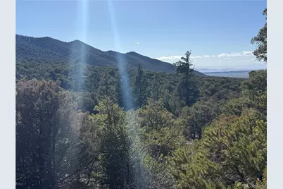 Lots 2045-2047 Pfotenhaur Road, Fort Garland, CO 81133 - Photo 7