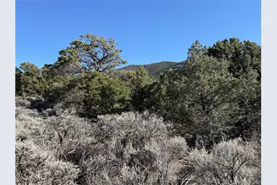 Lots 2045-2047 Pfotenhaur Road, Fort Garland, CO 81133 - Photo 11