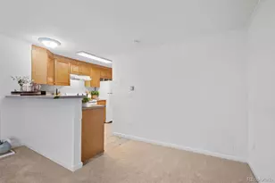 336 N Grant St, Denver, CO 80203 - Photo 15