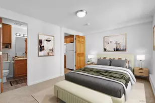 336 N Grant St, Denver, CO 80203 - Photo 23