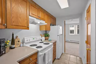 336 N Grant St, Denver, CO 80203 - Photo 17