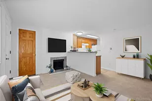 336 N Grant St, Denver, CO 80203 - Photo 9