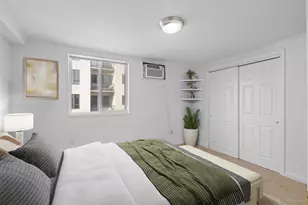 336 N Grant St, Denver, CO 80203 - Photo 21