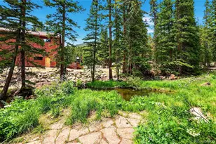 353 Brook Dr, Idaho Springs, CO 80452 - Photo 7