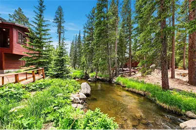 353 Brook Drive, Idaho Springs, CO 80452 - Photo 9