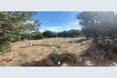 930 Bateman Road, Fort Garland, CO 81133 - Photo 15