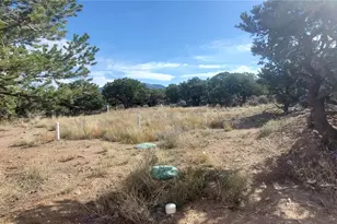 930 Bateman Rd, Fort Garland, CO 81133 - Photo 15