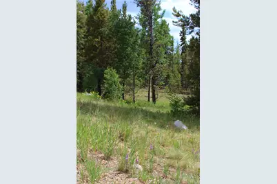 Glacier Ridge Road, Alma, CO 80420 - Photo 9