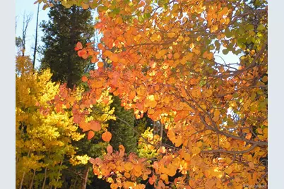 Glacier Ridge Road, Alma, CO 80420 - Photo 17