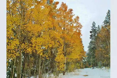 Glacier Ridge Road, Alma, CO 80420 - Photo 15