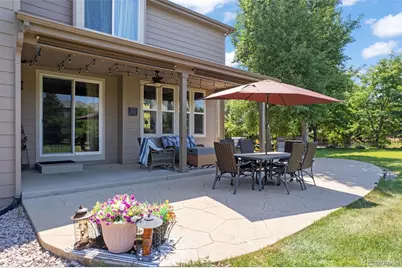 1021 Neptunite Place, Castle Rock, CO 80108 - Photo 13