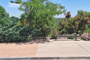 624 Green Ash St, Highlands Ranch, CO 80129 - Photo 29