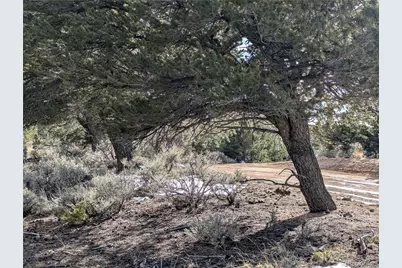 7831 Mallott Road, Fort Garland, CO 81133 - Photo 15